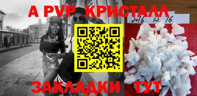 спиды Гатчина
