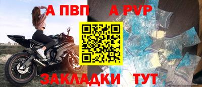 спиды Гатчина