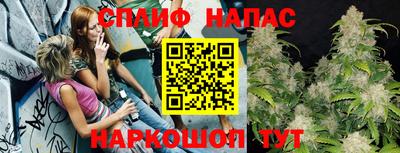 спайс Гагарин