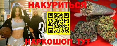 спиды Гатчина